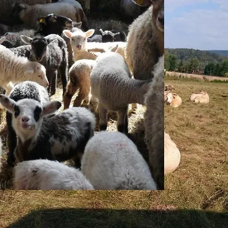 Stanovani Na Farme, Misto Pro Vas Stan Ci Karavan-dve Noci Luksustelt