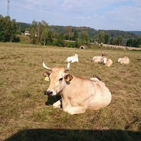 Stanovani Na Farme, Misto Pro Vas Stan Ci Karavan-dve Noci *
